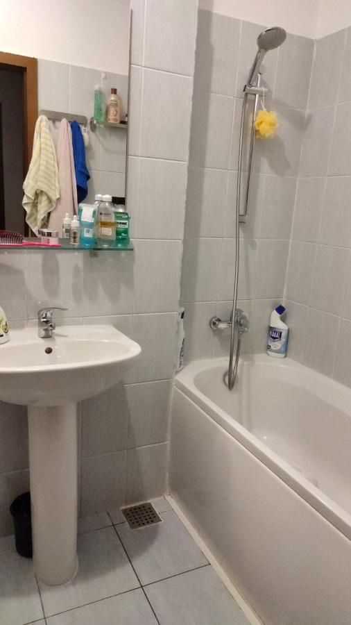 1 Room Apartment In Titan ブカレスト エクステリア 写真